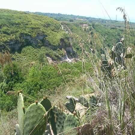 Zaccanopoli Azienda Agrituristica Carida מראה חיצוני תמונה