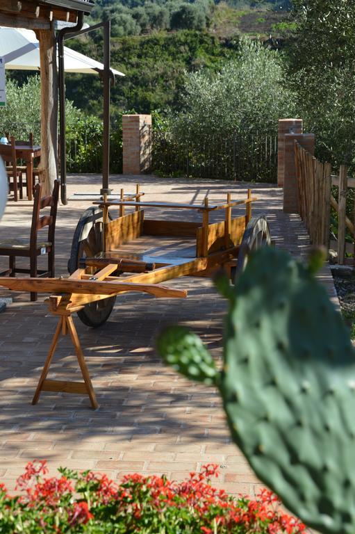 Zaccanopoli Azienda Agrituristica Carida מראה חיצוני תמונה