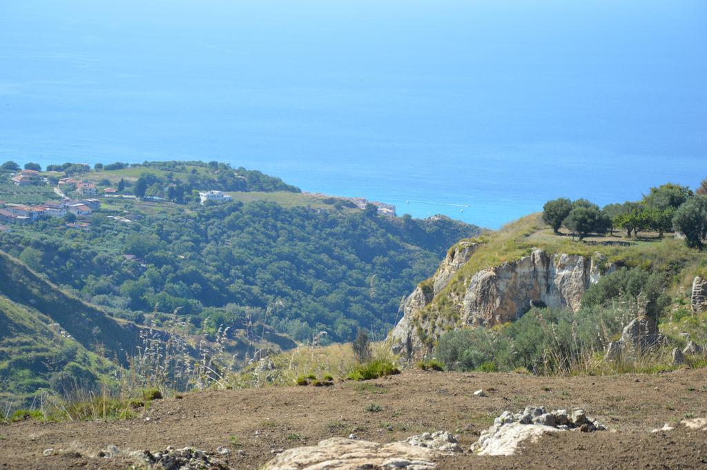 Zaccanopoli Azienda Agrituristica Carida מראה חיצוני תמונה