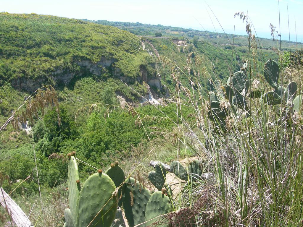 Zaccanopoli Azienda Agrituristica Carida מראה חיצוני תמונה